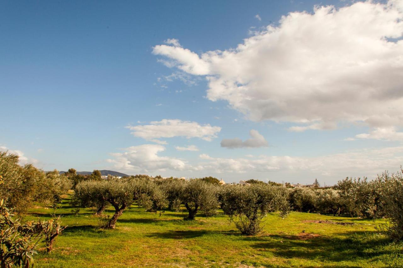 Koutsourás Konstantinos Villa מראה חיצוני תמונה